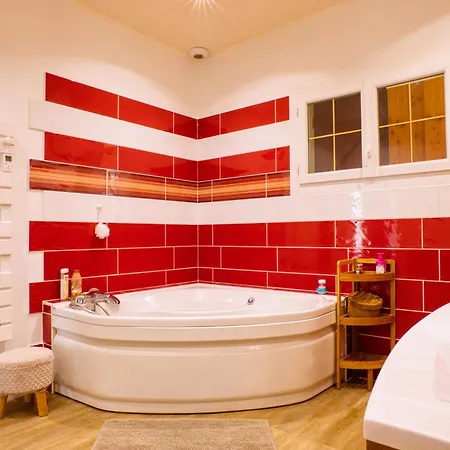 Exceptionnelle Maison Familiale Avec Piscine * Vensac